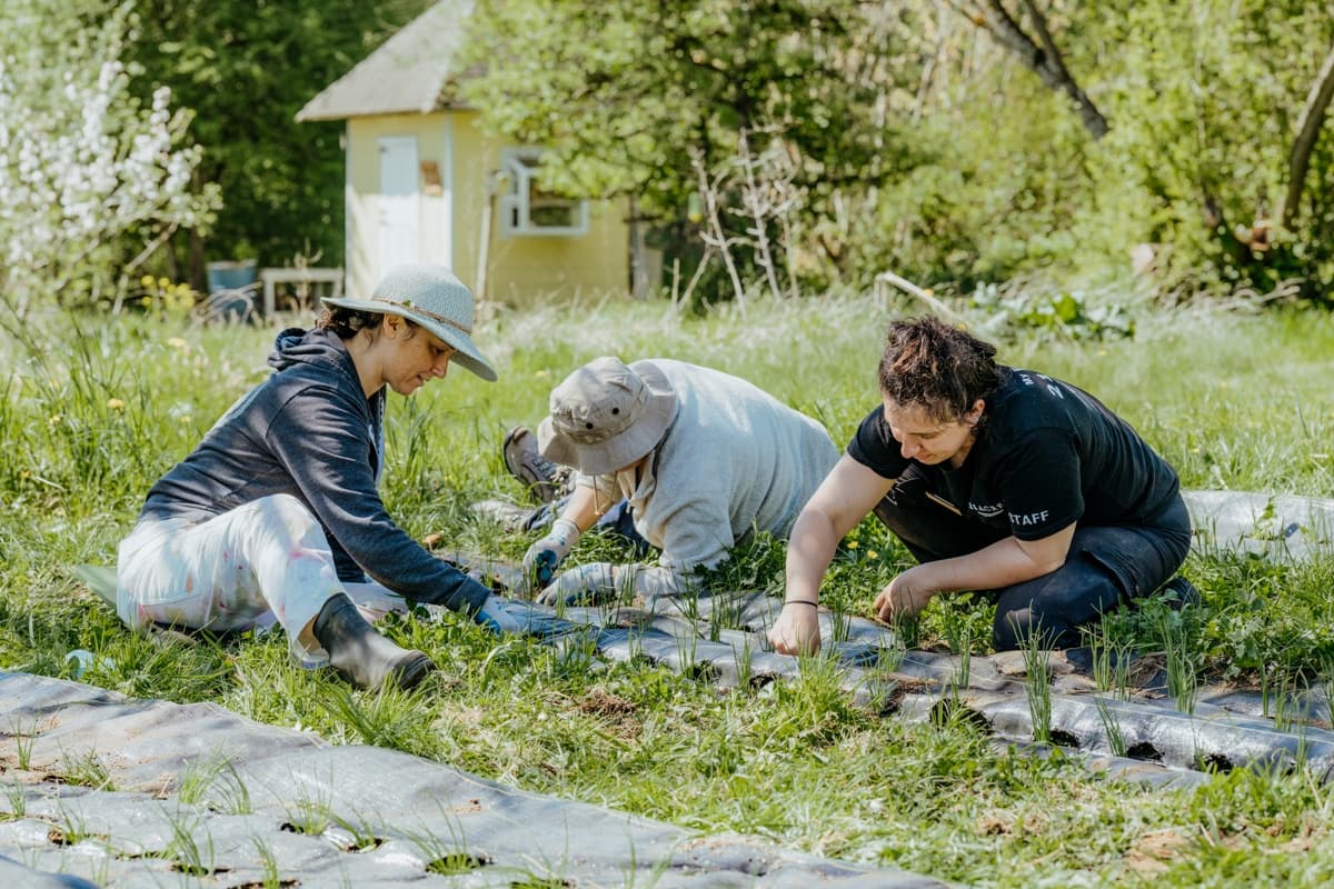 Farm Steward Saturdays Volunteer