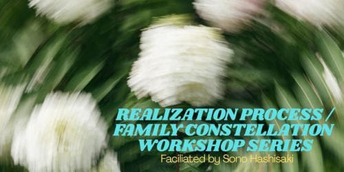Realization Process Family Constellation Workshop