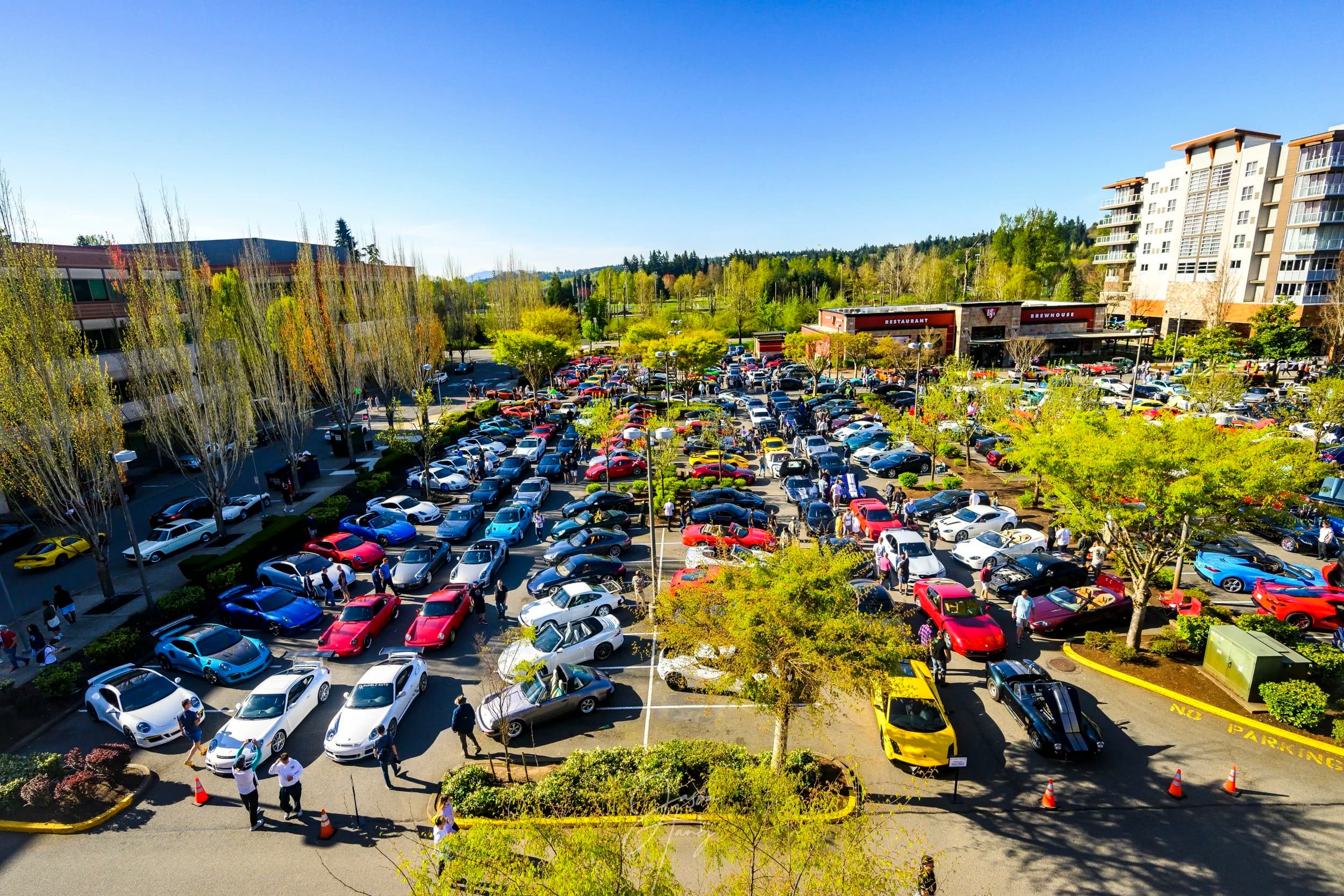 Exotics @ Redmond Town Center