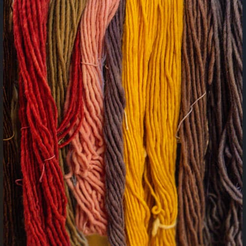 Native Plants and Natural Dyes Workshop