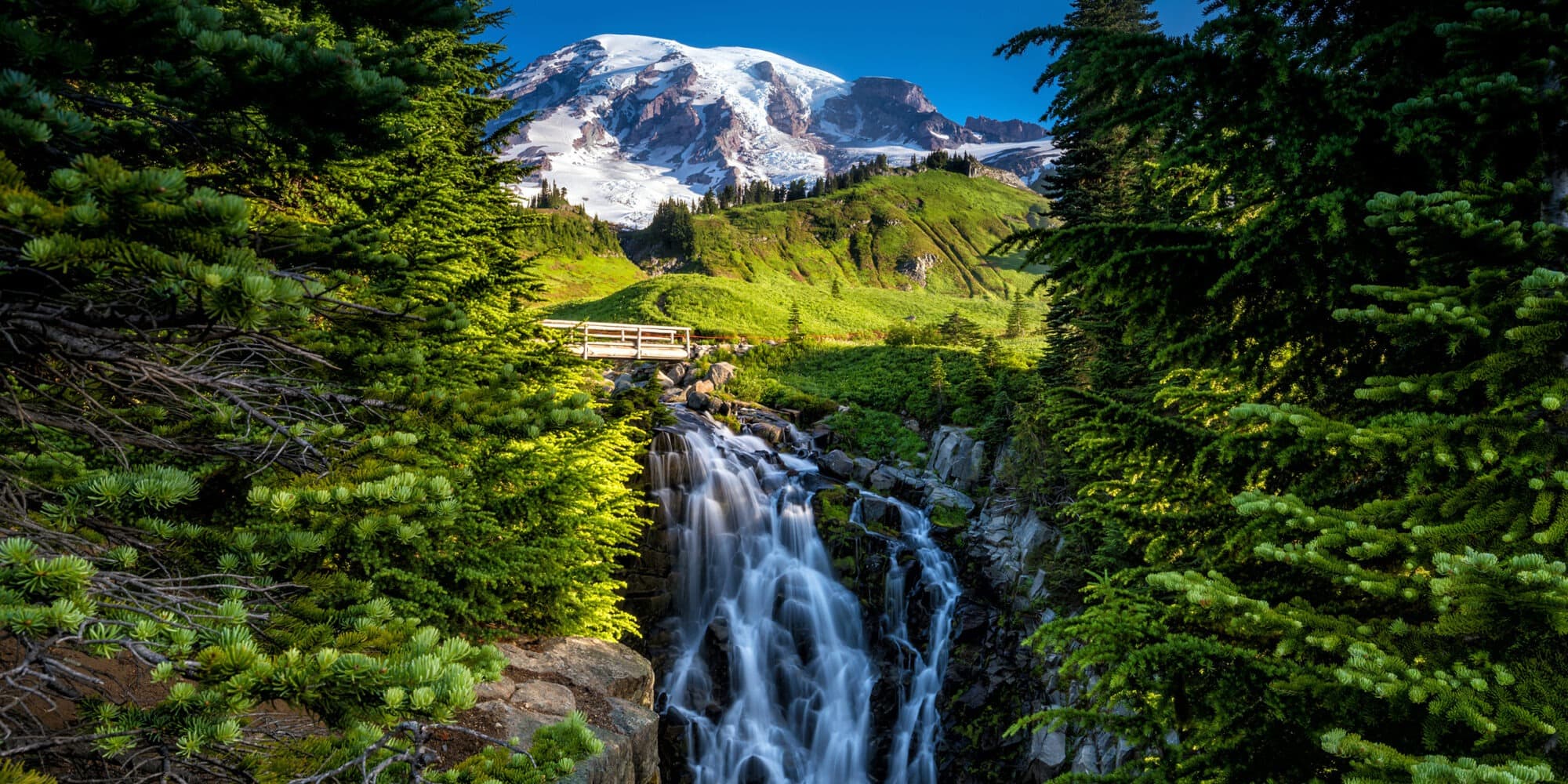 2-Day Mount Rainier National Park Hiking Tour
