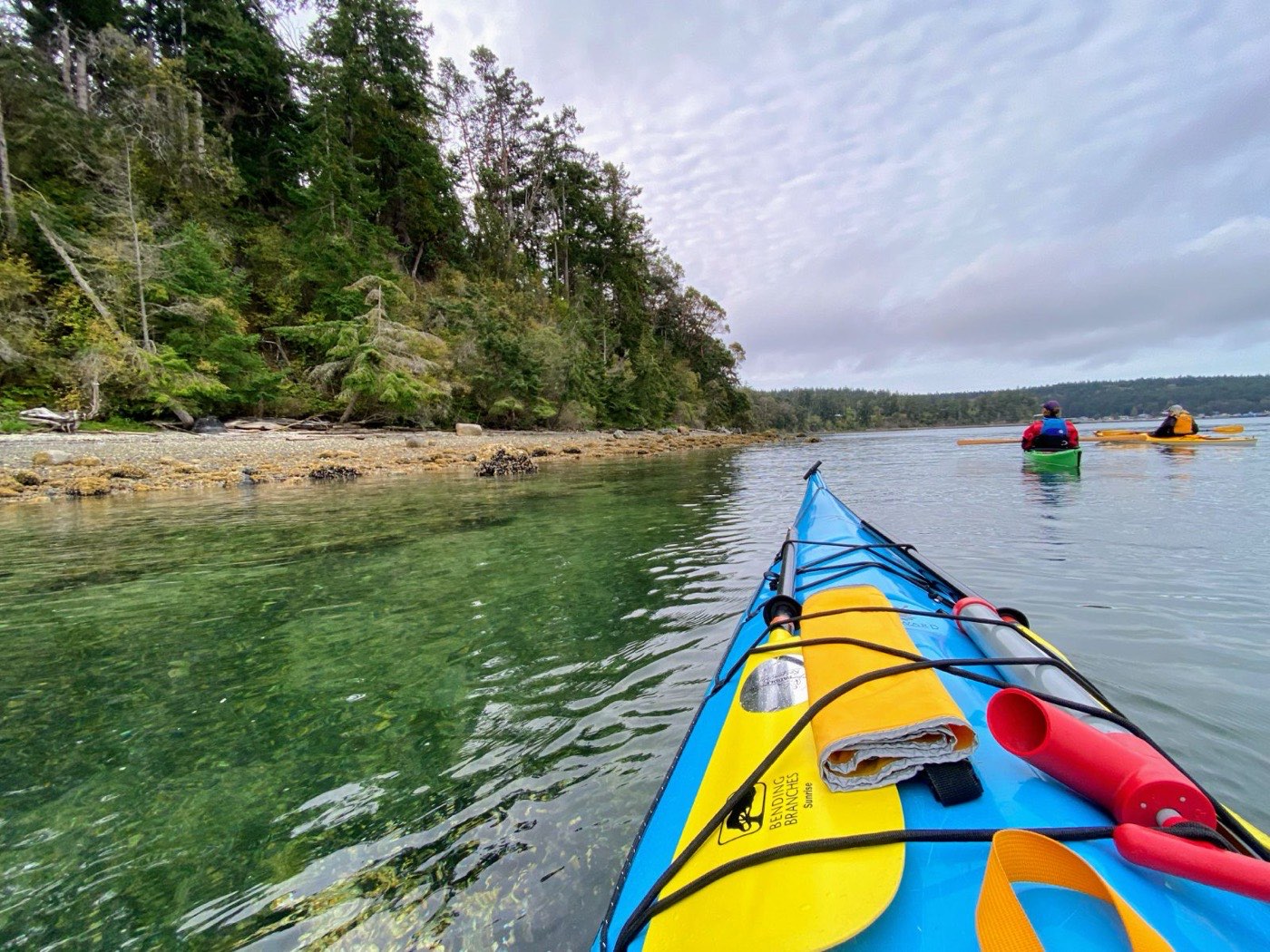 Kayakers paddling clear shallow water along a forested island shoreline