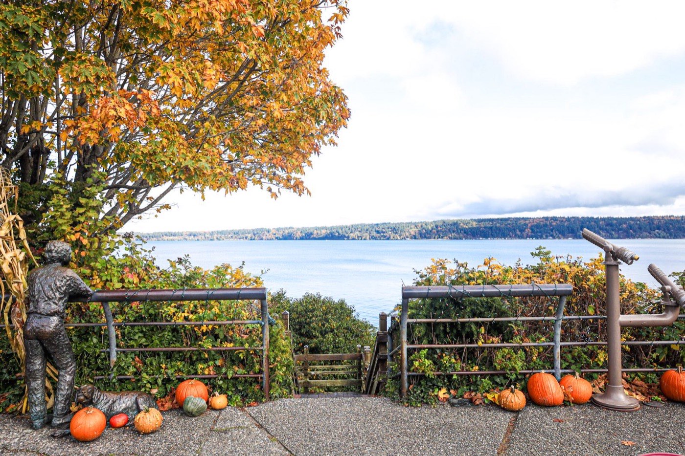 Autumn leaves, pumpkins and a water view from a Langley overlook